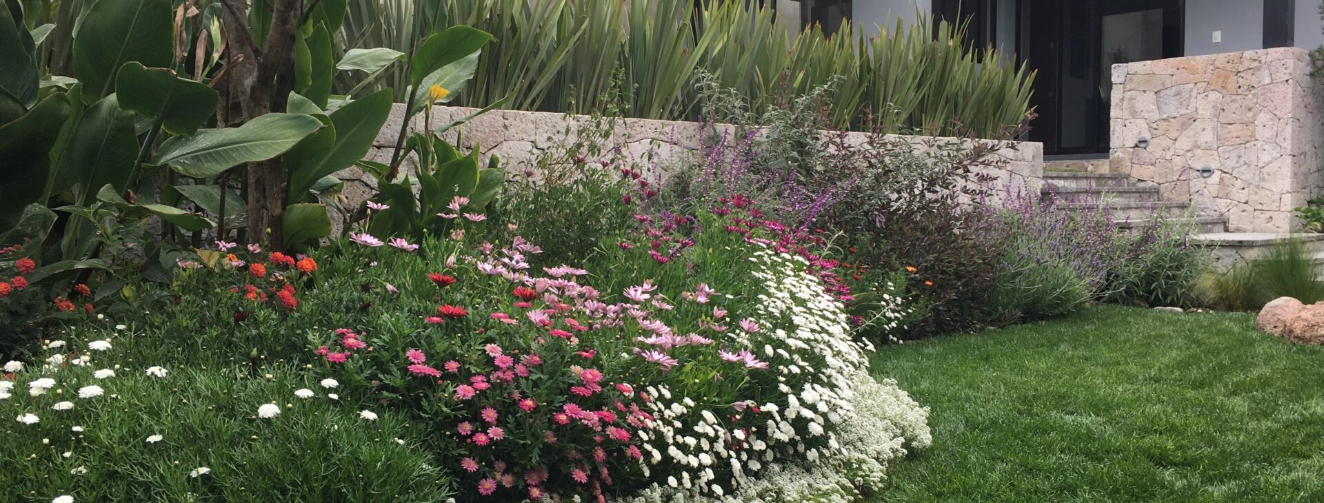 Capture rainwater, create a food garden, 
and support local biodiversity 
